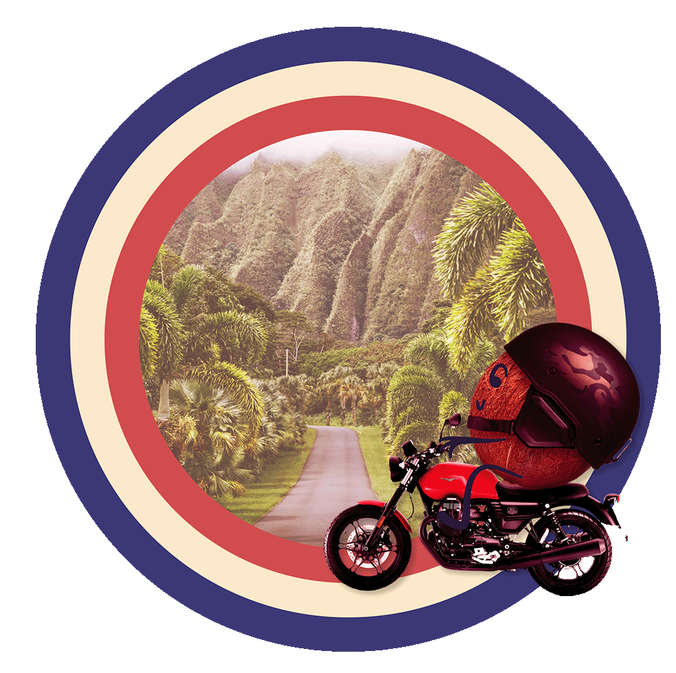 coconut character riding motorcycle in front of tropical background